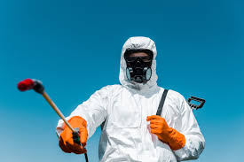 Best Termite Inspection and Treatment  in South Haven, MI